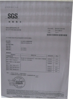 SGS報告書