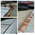防水隔熱鐵皮屋~結構補強~屋頂防水~壁癌~裝潢