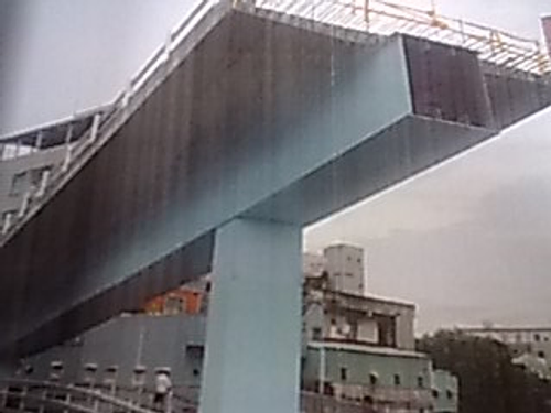 歌林聯外橋樑(1)