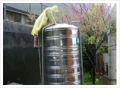 抽水肥．通水管．通馬桶．洗水塔．清水溝