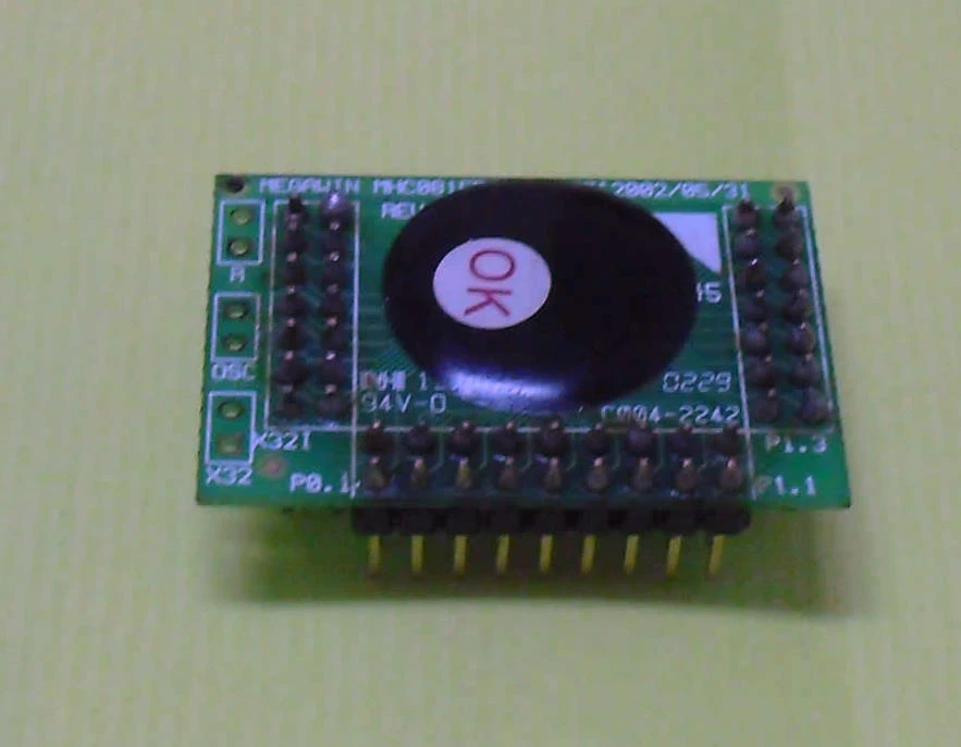 ZT301 MCU Module