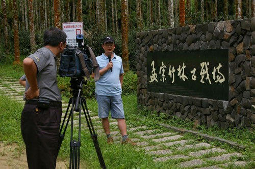 小半天孟宗竹古戰場