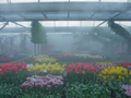 精緻花卉加濕降溫噴霧系統