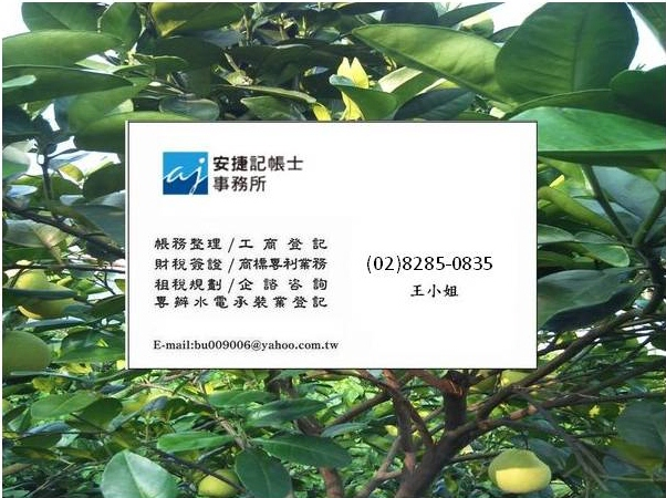 一般公司設立登記申請,公司登記資本簽證,創業輔導設立,三重簽證蘆洲簽證新莊簽證台北市簽證五股簽證新北市設立簽證