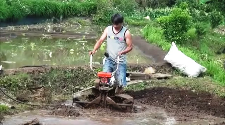 CY80 Tiller/Cultivator/Hand tractor/Power weeder (中耕機/耕耘機/除草管理機)