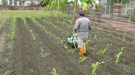 Ridging/Furrow/Earth up blade/plow of tiller/cultivator/hand tractor 中耕機/耕耘機