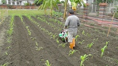Ridging/Furrow/Earth up blade/plow of tiller/cultivator/hand tractor 中耕機/耕耘機