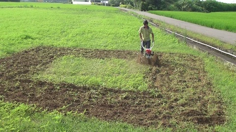 Rotary/Tilling blade of tiller/cultivator/weeder/hand tractor (中耕機/耕耘機)