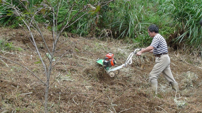 Rotary/Tilling blade of tiller/cultivator/weeder/hand tractor (中耕機/耕耘機)