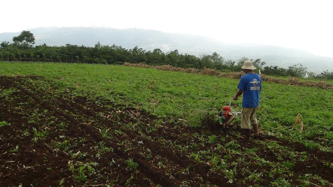 Rotary/Tilling blade of tiller/cultivator/weeder/hand tractor (中耕機/耕耘機)