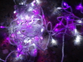 LED 紫白光燈串~~10米100燈