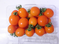 無農藥 零化肥 的小蕃茄 超低~~~價大拍賣
