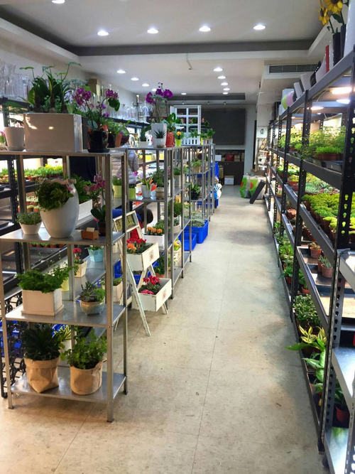 植物賣場