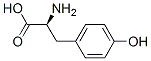 L-酪氨酸