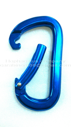 carabiner, fall protection equipment