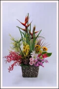 花藝設計,高價花籃,組合蘭花
