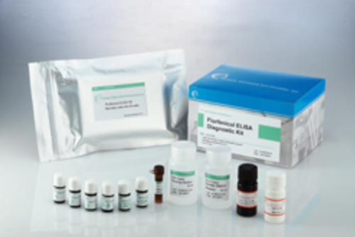 氟甲磺氯黴素酵素免疫檢驗試劑套組 Florfenicol (FF) ELISA Kit
