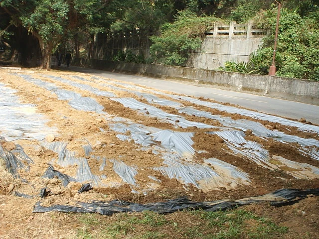 植物病蟲害專家-前衛植保有限公司