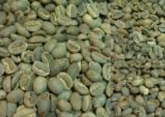 德國進口咖啡生豆