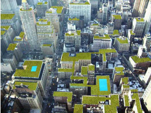 根據國際生態和環境組織的調查，都市若需獲得最佳環 境，每人平均擁有的綠地需達到60平方公尺以上。